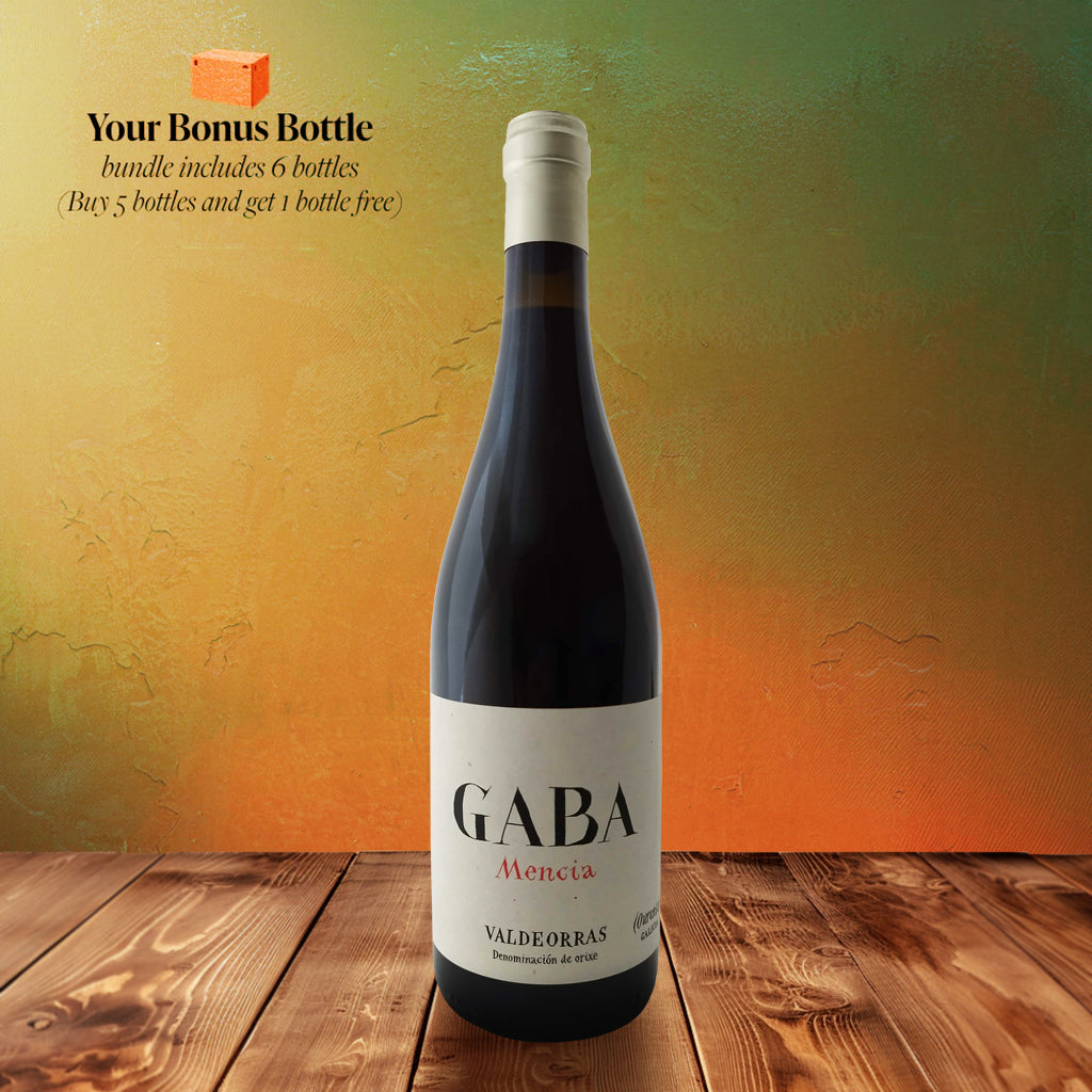 Your Bonus Bottle Bundle - Telmo Rodriguez Gaba Mencia 2020