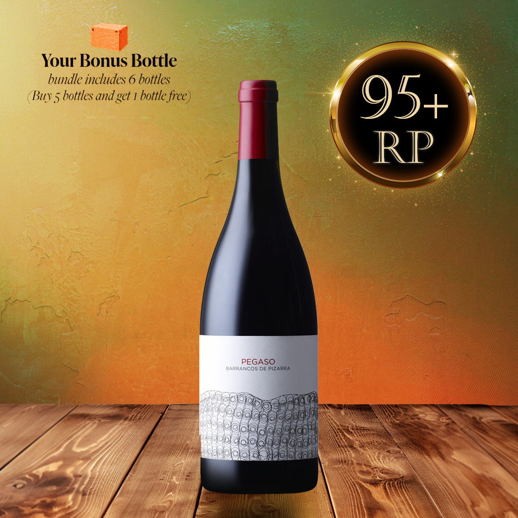 Your Bonus Bottle Bundle - Telmo Rodriguez Pegaso Pizarra 2017