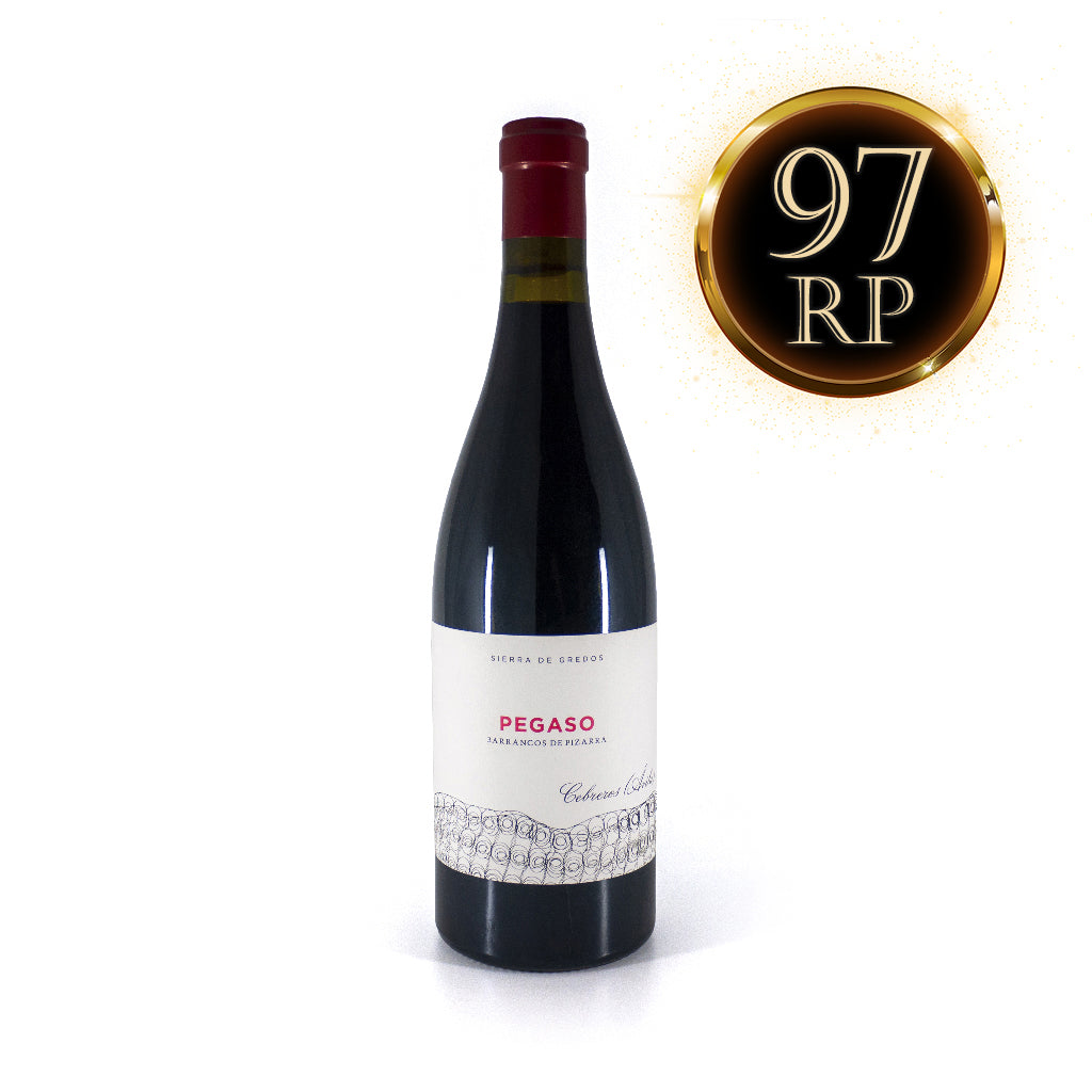 Telmo Rodriguez Pegaso Pizarra 2021