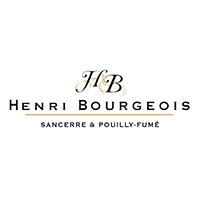 Henri Bourgeois